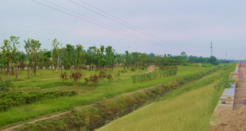 湖北·316 国道老河口市城区梨花大道景观项目