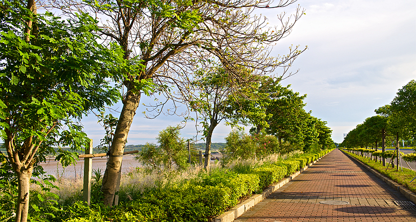 珠海·城市绿化景观提升工程